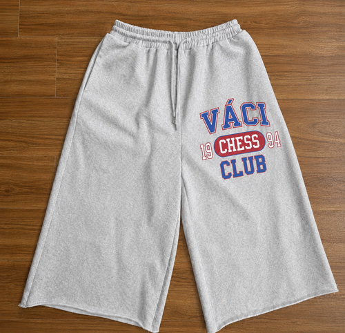 VÁCI GRANDMASTER CHESS CLUB 94'